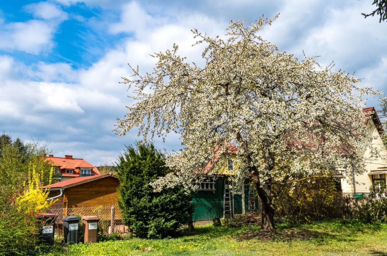 Gemuetliches, Heimeliges Ferienhaus Gars am Kamp Exterior photo